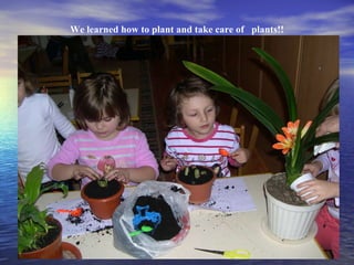 We learned how to plant and take care of  plants!! 