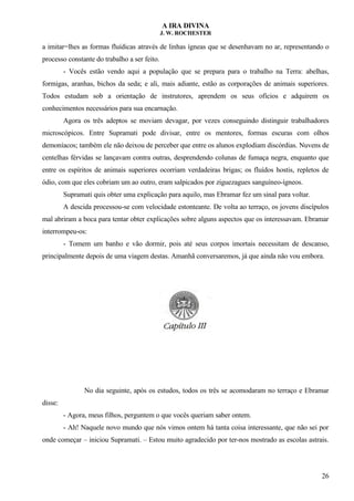 A IRA DIVINA
J. W. ROCHESTER
a imitar=lhes as formas fluídicas através de linhas ígneas que se desenhavam no ar, representando o
processo constante do trabalho a ser feito.
- Vocês estão vendo aqui a população que se prepara para o trabalho na Terra: abelhas,
formigas, aranhas, bichos da seda; e ali, mais adiante, estão as corporações de animais superiores.
Todos estudam sob a orientação de instrutores, aprendem os seus ofícios e adquirem os
conhecimentos necessários para sua encarnação.
Agora os três adeptos se moviam devagar, por vezes conseguindo distinguir trabalhadores
microscópicos. Entre Supramati pode divisar, entre os mentores, formas escuras com olhos
demoníacos; também ele não deixou de perceber que entre os alunos explodiam discórdias. Nuvens de
centelhas férvidas se lançavam contra outras, desprendendo colunas de fumaça negra, enquanto que
entre os espíritos de animais superiores ocorriam verdadeiras brigas; os fluídos hostis, repletos de
ódio, com que eles cobriam um ao outro, eram salpicados por ziguezagues sanguíneo-ígneos.
Supramati quis obter uma explicação para aquilo, mas Ebramar fez um sinal para voltar.
A descida processou-se com velocidade estonteante. De volta ao terraço, os jovens discípulos
mal abriram a boca para tentar obter explicações sobre alguns aspectos que os interessavam. Ebramar
interrompeu-os:
- Tomem um banho e vão dormir, pois até seus corpos imortais necessitam de descanso,
principalmente depois de uma viagem destas. Amanhã conversaremos, já que ainda não vou embora.
No dia seguinte, após os estudos, todos os três se acomodaram no terraço e Ebramar
disse:
- Agora, meus filhos, perguntem o que vocês queriam saber ontem.
- Ah! Naquele novo mundo que nós vimos ontem há tanta coisa interessante, que não sei por
onde começar – iniciou Supramati. – Estou muito agradecido por ter-nos mostrado as escolas astrais.
26
 