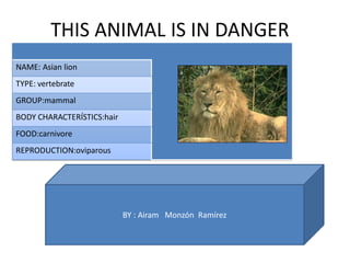 THIS ANIMAL IS IN DANGER
NAME: Asian lion
TYPE: vertebrate
GROUP:mammal
BODY CHARACTERÍSTICS:hair
FOOD:carnivore
REPRODUCTION:oviparous




                            BY : Airam Monzón Ramírez
 