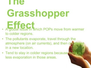 The Grasshopper Effect A global issue in which POPs move from warmer to colder regions.  The pollutants evaporate, travel through the atmosphere (on air currents), and then condense in a new location. Tend to stay in colder regions because there is less evaporation in those areas.  