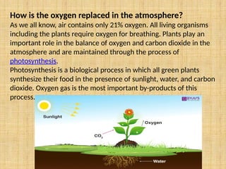 How is the oxygen replaced in the atmosphere?
As we all know, air contains only 21% oxygen. All living organisms
including the plants require oxygen for breathing. Plants play an
important role in the balance of oxygen and carbon dioxide in the
atmosphere and are maintained through the process of
photosynthesis.
Photosynthesis is a biological process in which all green plants
synthesize their food in the presence of sunlight, water, and carbon
dioxide. Oxygen gas is the most important by-products of this
process.
 