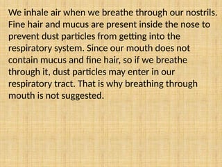We inhale air when we breathe through our nostrils.
Fine hair and mucus are present inside the nose to
prevent dust particles from getting into the
respiratory system. Since our mouth does not
contain mucus and fine hair, so if we breathe
through it, dust particles may enter in our
respiratory tract. That is why breathing through
mouth is not suggested.
 