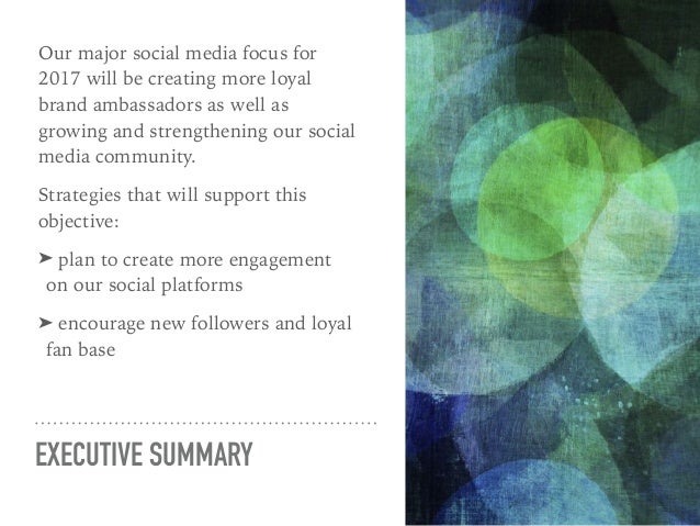 Instagram Followers Audit