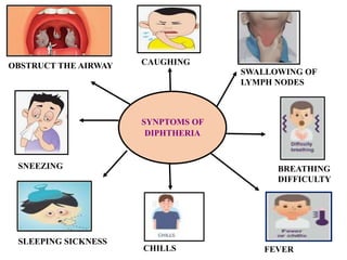 SYNPTOMS OF
DIPHTHERIA
SNEEZING
SLEEPING SICKNESS
CHILLS FEVER
BREATHING
DIFFICULTY
SWALLOWING OF
LYMPH NODES
CAUGHING
OBSTRUCT THE AIRWAY
 