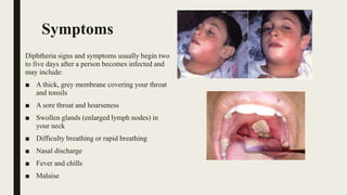Symptoms
Diphtheria signs and symptoms usually begin two
to five days after a person becomes infected and
may include:
■ A thick, grey membrane covering your throat
and tonsils
■ A sore throat and hoarseness
■ Swollen glands (enlarged lymph nodes) in
your neck
■ Difficulty breathing or rapid breathing
■ Nasal discharge
■ Fever and chills
■ Malaise
 