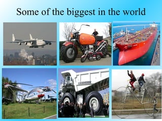 Some of the biggest in the world 