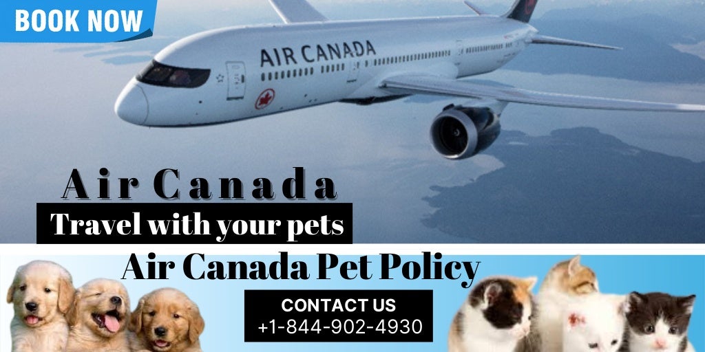 AIR CANADA PET POLICY PPT