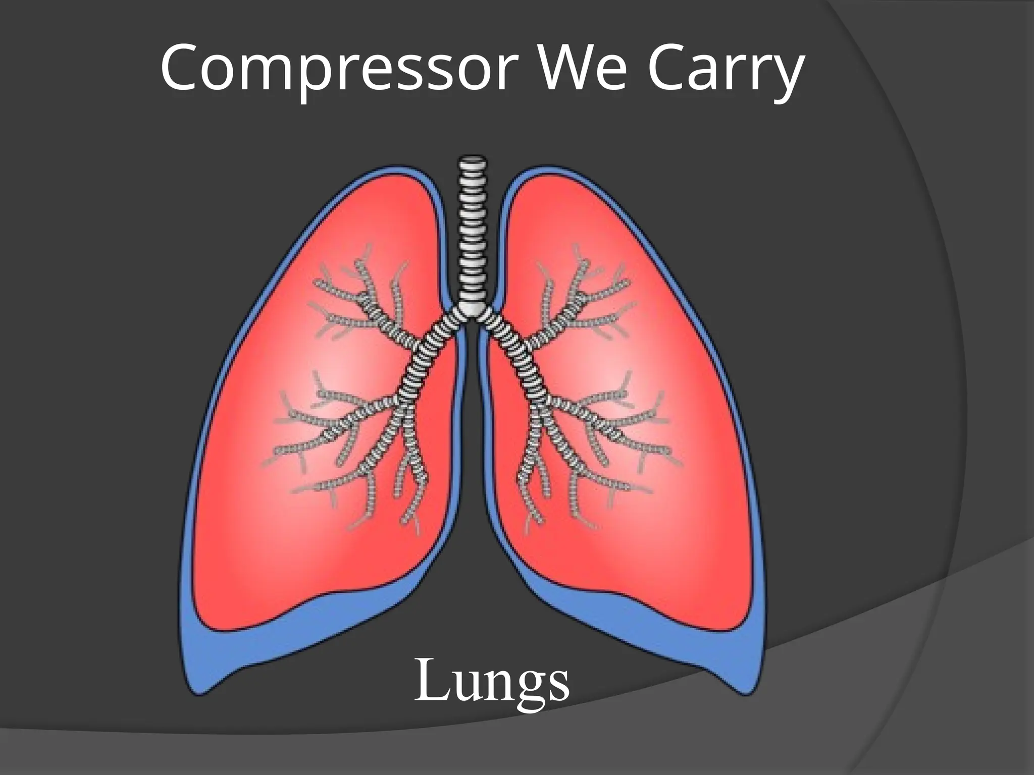 Compressor We Carry
Lungs
 
