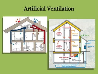 Artificial Ventilation
 