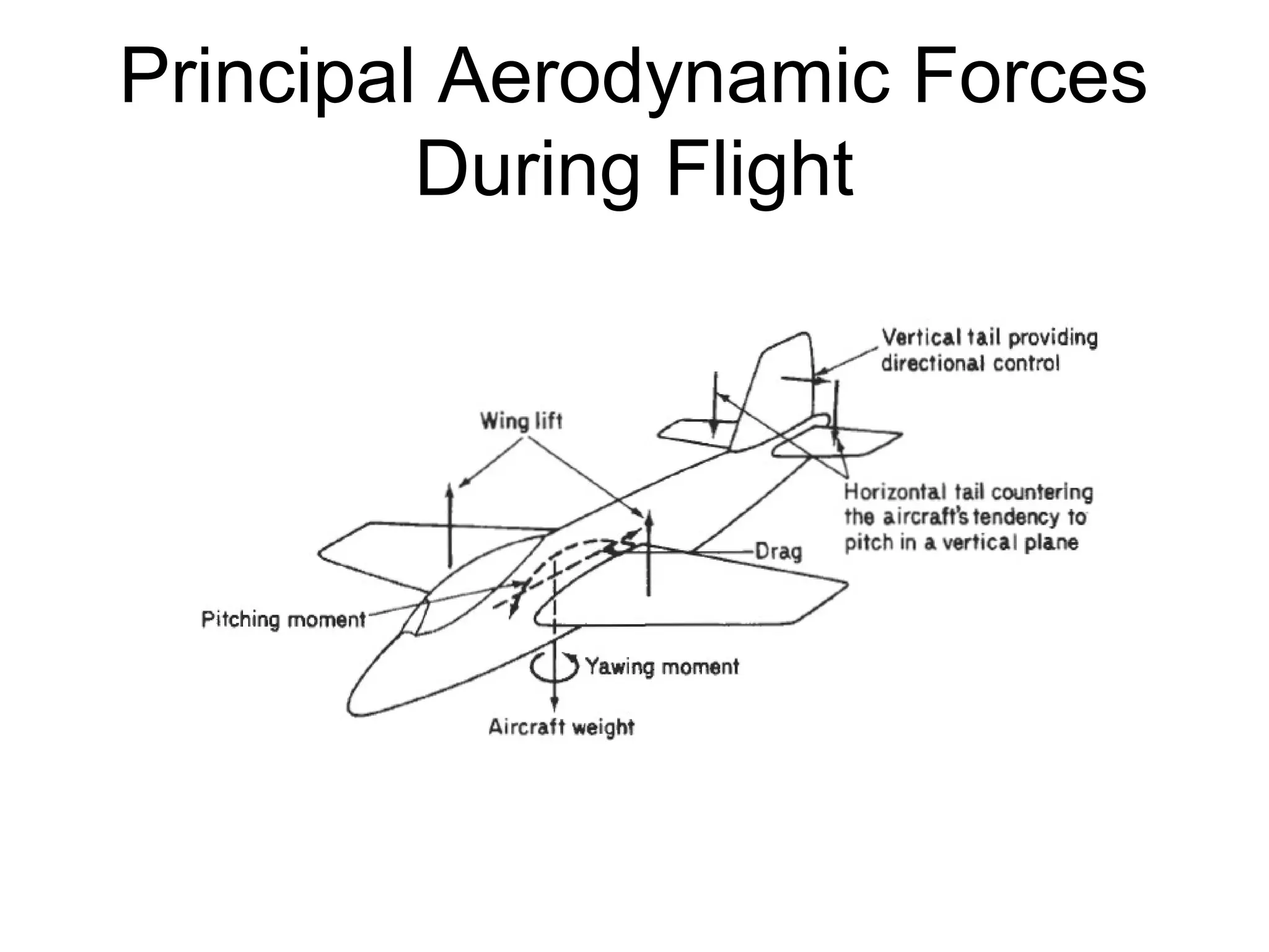 Principal Aerodynamic Forces 
During Flight 
 