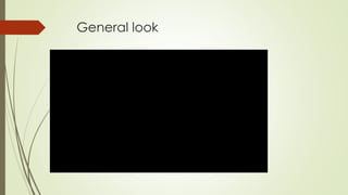 General look
 