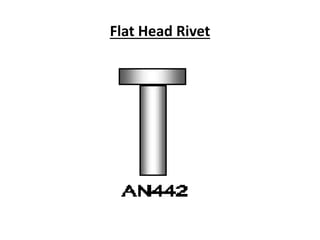 Flat Head Rivet
 