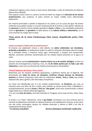 radioactivos fugitivos como Uranio y Cesio fueron detectados a miles de kilómetros de distancia
(Nueva York y Madrid).
Otro aspecto crucial a tener en cuenta a la hora de medir los riesgos es la dirección de los vientos
predominantes, que conducen el polvo mineral en mayor medida hacia determinadas
poblaciones.

Ese material particulado o polvillo se deposita en los suelos y en los cursos de agua. No existen
ambientes que puedan escapar a la acción contaminante de la minería a cielo abierto. Además de
las personas, el veneno minero también perjudica la fauna, la flora y a las actividades productivas
como la agricultura y la ganadería. El daño alcanza a las cadenas tróficas o alimentarias, con lo
cual aumentan los riesgos para la salud.

Vista aérea de la mina Gualcamayo (San Juan), despidiendo polvo (Año
2009)


¿Cómo se produce el daño sobre la salud humana?
Al iniciarse una explotación minera a cielo abierto, los daños ambientales son inmediatos,
profundos y duraderos. Las poblaciones locales no están lo suficiente informadas sobre los riesgos
de la actividad minera, y entonces toman agua “envenenada” y respiran aire contaminado.
Además, consumen alimentos contaminados por los metales tóxicos presentes en el agua y el
suelo.

Hay que recalcar que la contaminación o veneno minero no es de carácter biológico, es decir no
proviene de microorganismos, bacterias, virus, etc. Es de índole química por un lado y por otro
radioactiva, lo que crea una situación de máxima amenaza para la salud pública.

¿Porqué hablamos del Uranio, Torio y Cesio?
Reiteramos que los estudios científicos geoquímicos y geofísicos hechos por el Segemar, han
demostrado que todas las minas, sin excepción, contienen siempre decenas de elementos
químicos en diversa proporción, entre ellos los radioactivos Uranio, Torio y Cesio, que emiten
radiación alfa, beta y gamma. (Ver Chernobyl y Fukushima).

Las minas son identificadas por el o los metales predominantes. La Alumbrera, por caso, es
conocida como una Mina de Oro y Cobre, pero también se extrae mucha Plata y Molibdeno e
insospechadamente, encierra Uranio y Torio en “alto grado”, entre otros contaminantes o tóxicos
(según datos de un Informe oficial del Segemar).
 A su vez una mina de Uranio, como Río Colorado en Tinogasta, tiene trazas de Oro, Cobre, Plata,
etc.

El Uranio y sus “hijos” radioactivos, como el gas Radón, constituyen una seria amenaza para la
salud de las poblaciones asentadas en regiones próximas a las explotaciones mineras, ya que tiene
una alta acción cancerígena, porque sus isótopos destruyen o alteran el ADN y con ello el
comportamiento de las células.
 Un átomo (modelo)                              Átomo (isótopo) emitiendo radiación
 