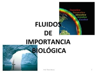 FLUIDOS
      DE
IMPORTANCIA
  BIOLÓGICA

    Prof. Nora Besso   1
 