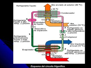 Esquema del circuito frigorífico
 
