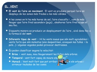 EL VENT
 El vent és l’aire en moviment. El vent es produeix perquè l’aire es
  desplaça de les zones més fredes a les més càlides.

 A les zones on hi ha més hores de sol, l’aire s’escalfa i , com és més
  lleuger que l’aire fred ascendeix (puja) , aleshores l’aire fred ocupa el
  seu lloc.

 D’aquesta manera es produeix un desplaçament de l’aire , això dona lloc a
  la formació del vent.

 Diferents tipus de vent : Hi ha vents suaus que són molt agradables i
  vents forts que són molestos (ens despentinen, aixequen les fulles i la
  pols...) i algunes vegades poden provocar destrosses.

 És poden classificar segons la velocitat:
   Brisa : vent suau, mou lleugerament les fulles dels arbres.
   Temporal : vent fort capaç de moure els arbres.
   Huracà : Vent molt fort que pot arribar a fer caure els arbres i
    arrencar teulades de les cases.
 