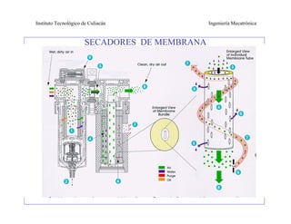 Instituto Tecnológico de Culiacán              Ingeniería Mecatrónica


                       SECADORES DE MEMBRANA
 