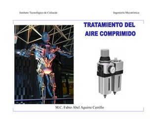 Instituto Tecnológico de Culiacán                                 Ingeniería Mecatrónica




                               M.C. Fabio Abel Aguirre Cerrillo
 