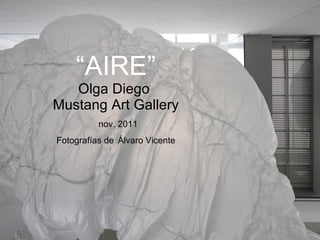 “ AIRE” Olga Diego  Mustang Art Gallery   nov. 2011 Fotografías de   Álvaro Vicente 