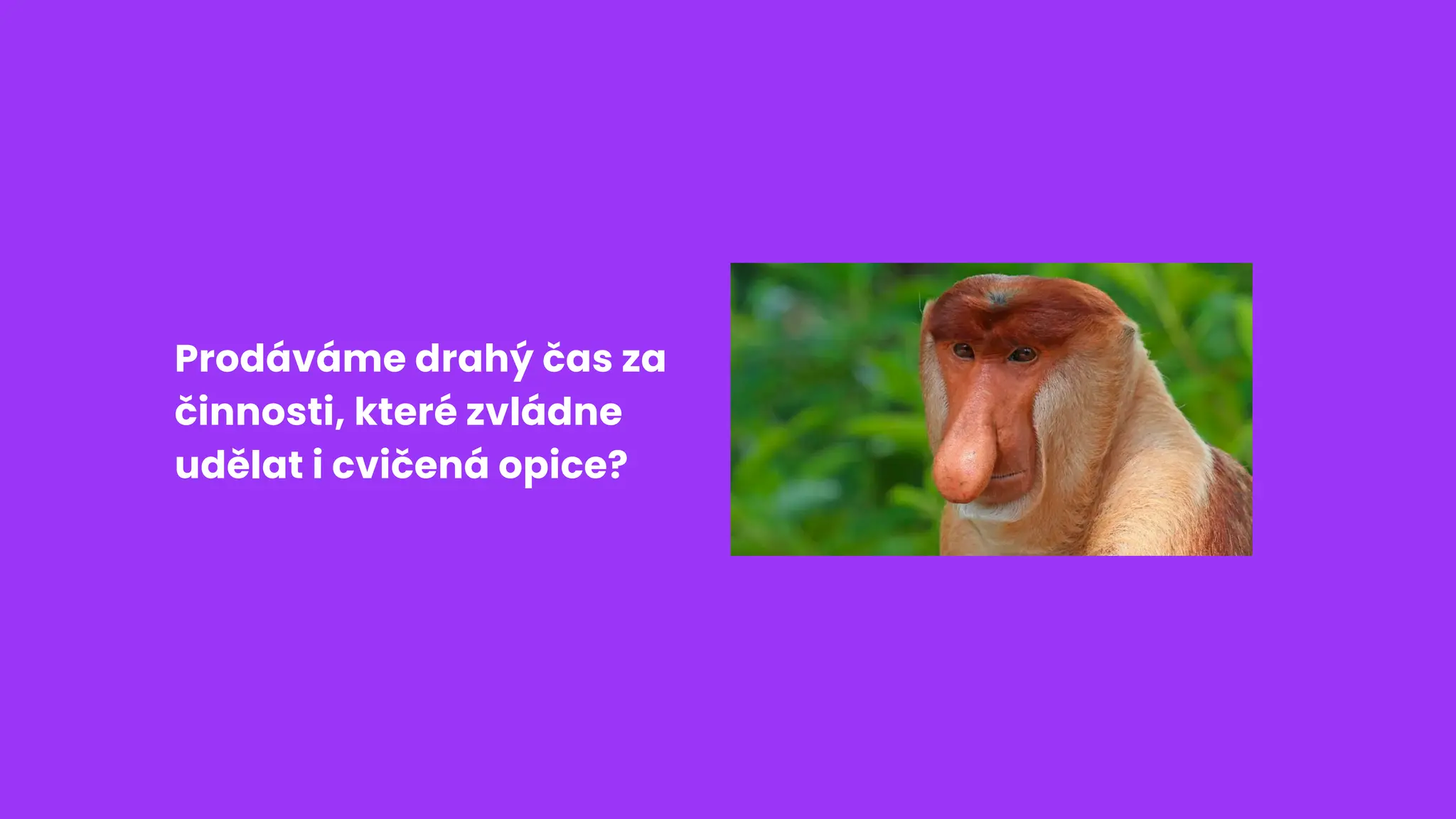 Prodáváme drahý čas za
činnosti, které zvládne
udělat i cvičená opice?
 