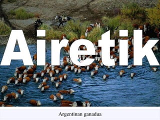 Airetik Argentinan ganadua 