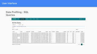 User Interface
Data Profiling : SQL
Queries
 