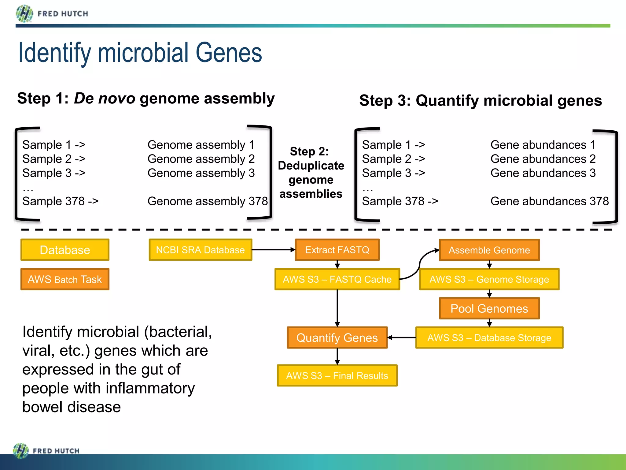 Sample 1 -> Genome assembly 1
Sample 2 -> Genome assembly 2
Sample 3 -> Genome assembly 3
…
Sample 378 -> Genome assembly 378
Step 1: De novo genome assembly
Step 2:
Deduplicate
genome
assemblies
Sample 1 -> Gene abundances 1
Sample 2 -> Gene abundances 2
Sample 3 -> Gene abundances 3
…
Sample 378 -> Gene abundances 378
Step 3: Quantify microbial genes
Database
AWS Batch Task
NCBI SRA Database
AWS S3 – FASTQ Cache
Extract FASTQ Assemble Genome
AWS S3 – Genome Storage
Pool Genomes
AWS S3 – Database StorageQuantify Genes
AWS S3 – Final Results
Identify microbial Genes
Identify microbial (bacterial,
viral, etc.) genes which are
expressed in the gut of
people with inflammatory
bowel disease
 