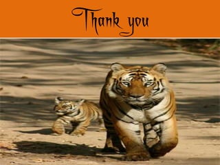  Deeply ingrained corruption in all levels.