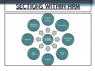 SECTIONS WITHIN HRM
 
