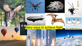 Many ways to achieve flight
 