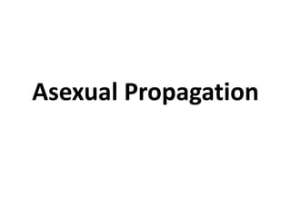 Asexual Propagation 
 