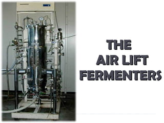 THE   AIR LIFT FERMENTERS 