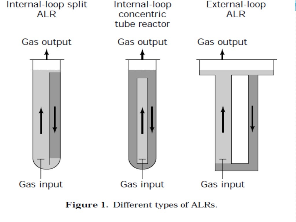 Airlift bioreactor ppt