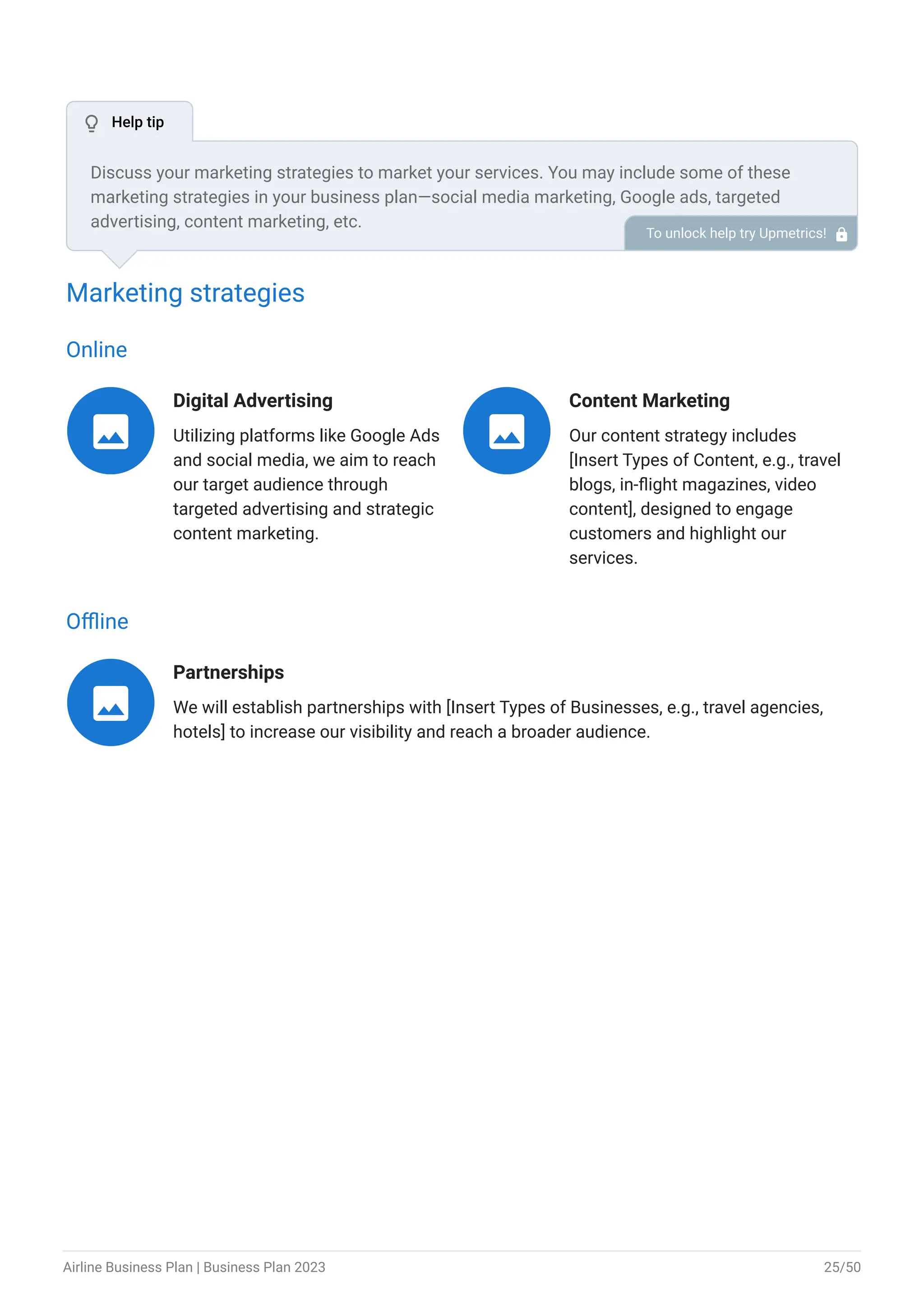 Airline Business Plan Example | Upmetrics | PDF