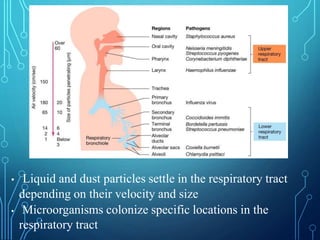 Air microbiology | PPTX