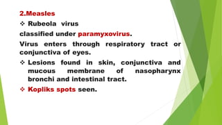 2.Measles
 Rubeola virus
classified under paramyxovirus.
Virus enters through respiratory tract or
conjunctiva of eyes.
 Lesions found in skin, conjunctiva and
mucous membrane of nasopharynx
bronchi and intestinal tract.
 Kopliks spots seen.
 