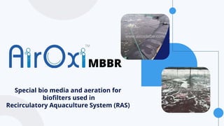 Special bio media and aeration for
biofilters used in
Recirculatory Aquaculture System (RAS)
MBBR
www.airoxitube.com
www.airoxitube.com
 