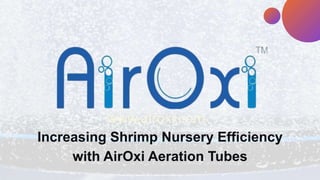 Increasing Shrimp Nursery Efficiency
with AirOxi Aeration Tubes
 