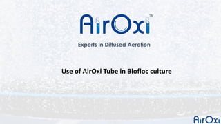Use of AirOxi Tube in Biofloc culture
Experts in Diffused Aeration
 