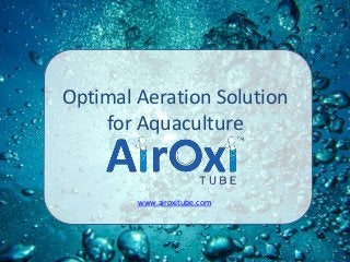 Optimal Aeration Solution
for Aquaculture
www.airoxitube.com
 