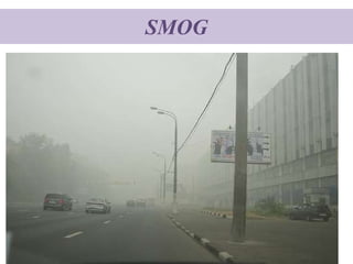 SMOG
 