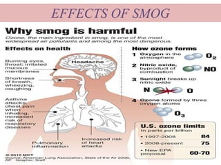 EFFECTS OF SMOG
 
