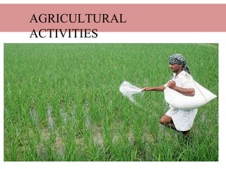 AGRICULTURAL
ACTIVITIES
 