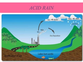 ACID RAIN
 