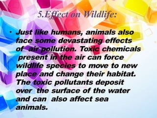 5.Effect on Wildlife:
• Just like humans, animals also
face some devastating effects
of air pollution. Toxic chemicals
present in the air can force
wildlife species to move to new
place and change their habitat.
The toxic pollutants deposit
over the surface of the water
and can also affect sea
animals.
 