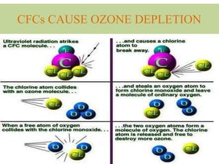 CFCs CAUSE OZONE DEPLETION
 