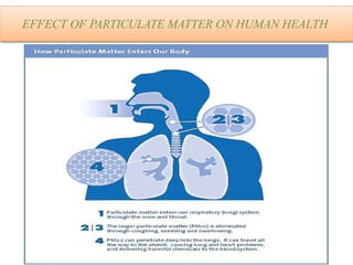 EFFECT OF PARTICULATE MATTER ON HUMAN HEALTH
 