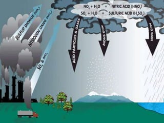 Air pollution: its causes,effects and pollutants
