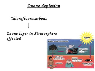 Ozone layer in Stratosphere effected Chlorofluorocarbons Ozone depletion 