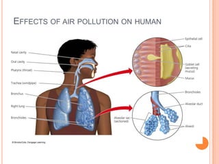 EFFECTS OF AIR POLLUTION ON HUMAN
 